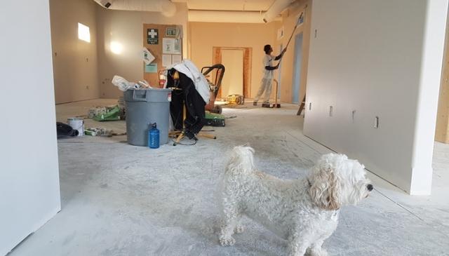 Renovate House